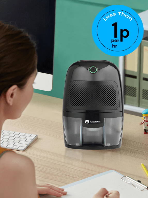 Dehumidifier 600ml Portable Dehumidifier for Home - Black