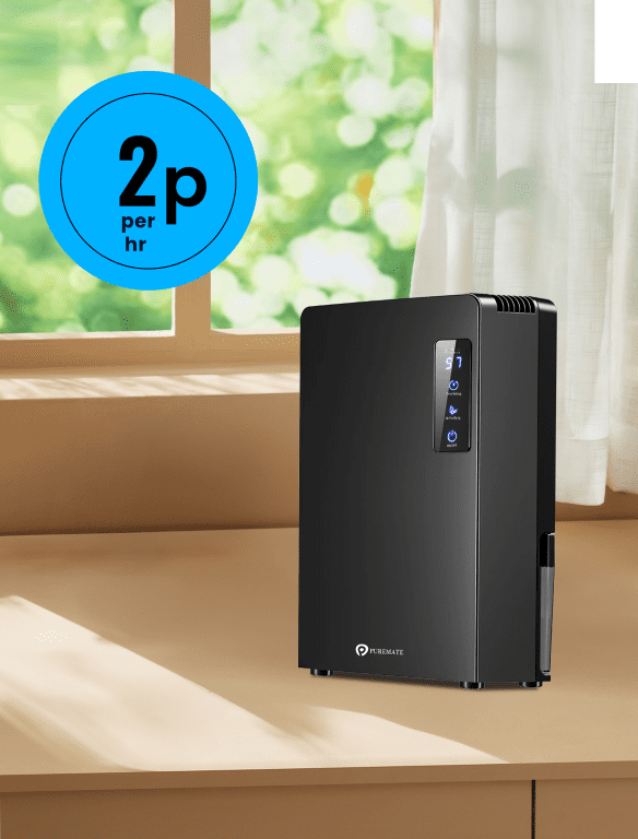 2200ml Portable Dehumidifier for Damp, Mould, Moisture in Home – Black