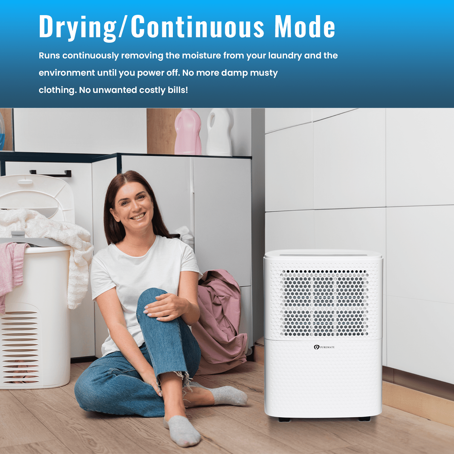 12 Litre Dehumidifier with Air Purifier and Continuous Drainage Hose