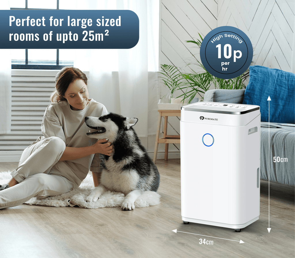 20L Dehumidifier for Home, Adjustable Humidity Sensor, Digital Display, Large 6.5L Tank, Continuous Drainage, Sleep Mode, Laundry Drying, 24H Timer, Ideal for Damp & Condensation