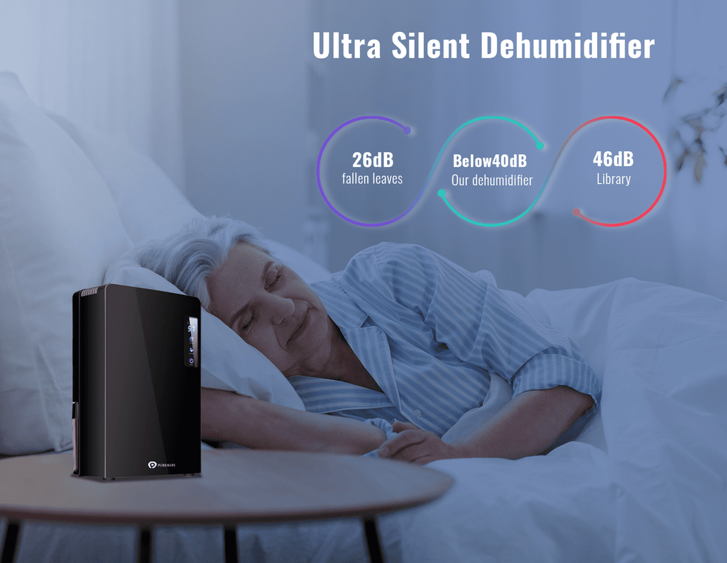 2200ml Portable Dehumidifier for Damp, Mould, Moisture in Home – Black
