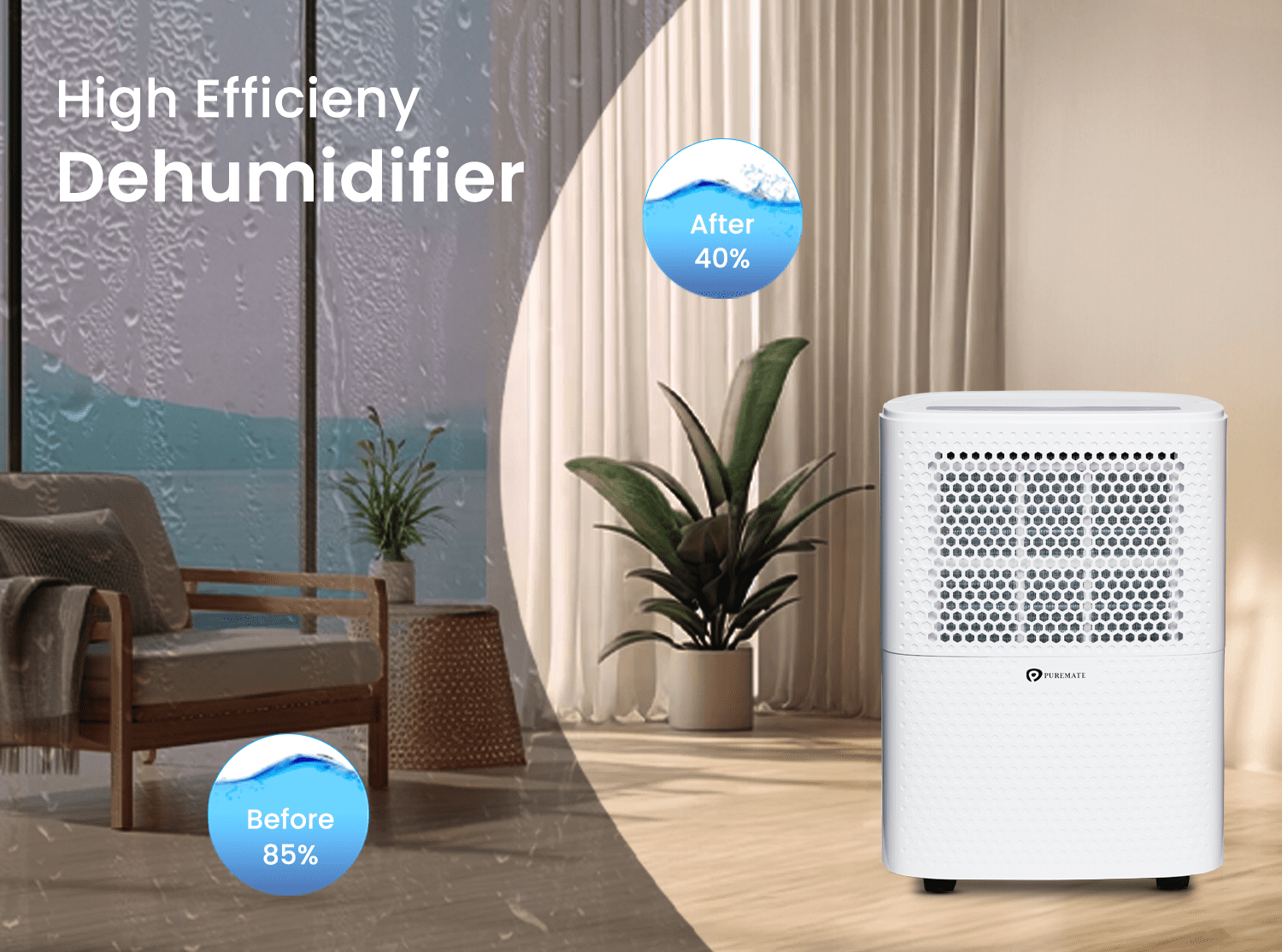 12 Litre Dehumidifier with Air Purifier and Continuous Drainage Hose